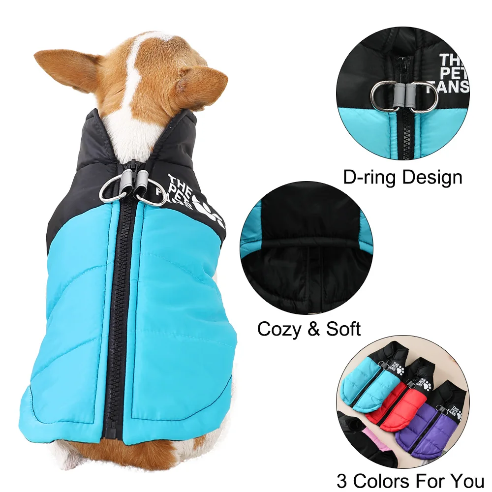 Thumbnail 4 - #7 Trending Puppy Coats Right Now