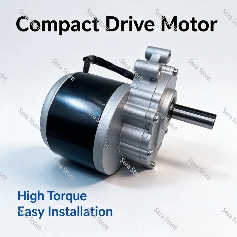 Wheelchair Motor 24V250W Motor Motor ZD101AZ1 Electric Modification