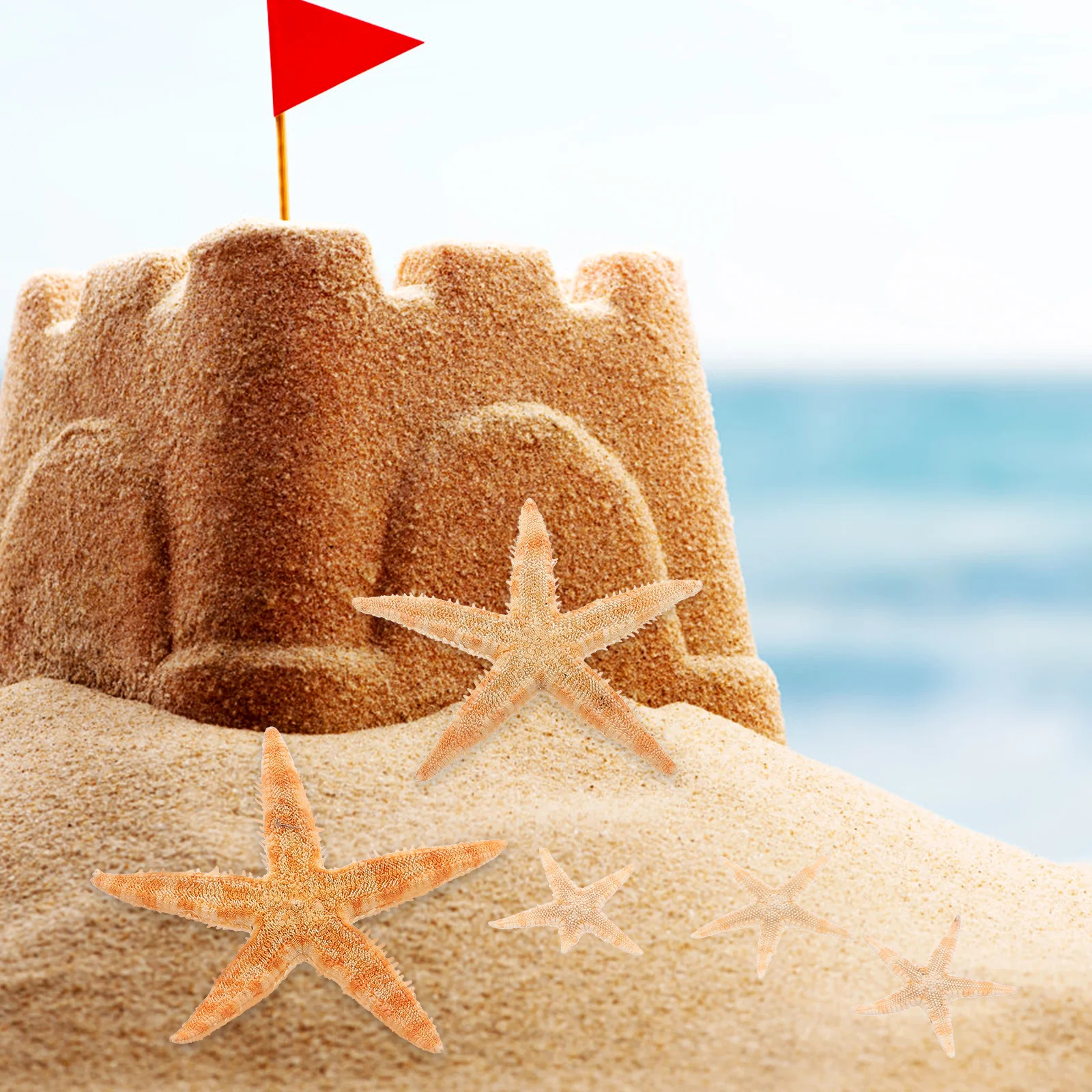

100 Pcs Decoration Shell Nautical Home Beach Decorations Decorative Seashell Shells Seaside
