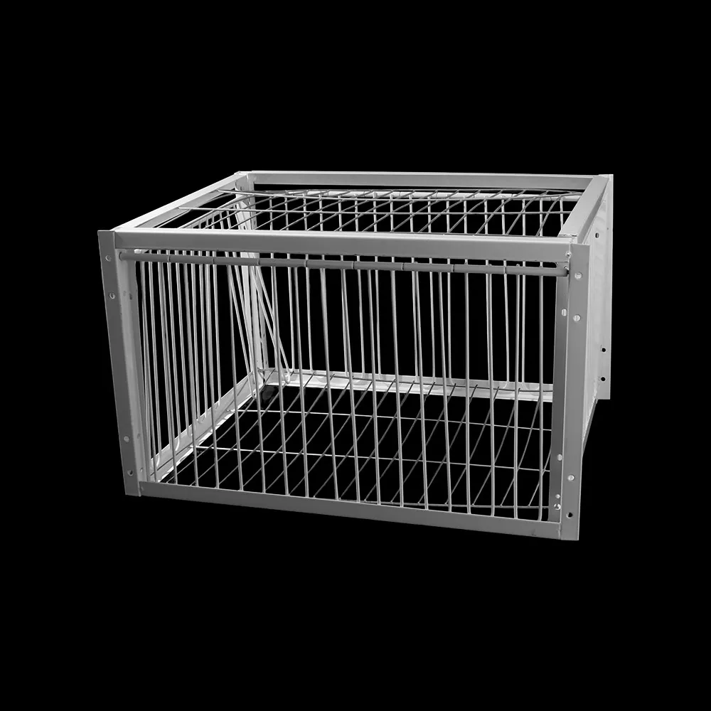Thumbnail 3 - #22 Latest Bird Cages Updates
