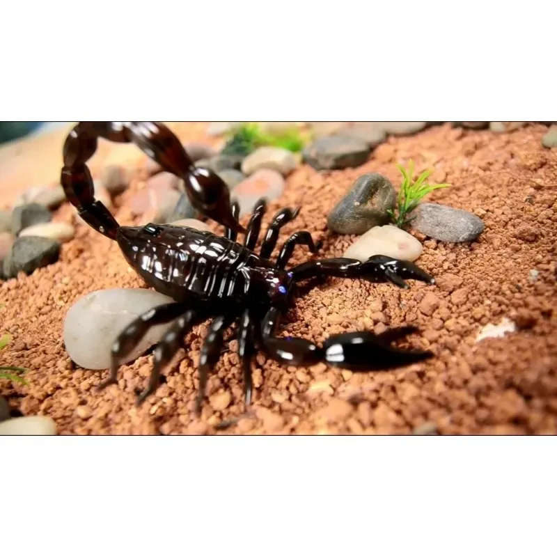 خدعة مضحكة للحيوانات الأليفة الإلكترونية RC محاكاة c المزحة لعبة بيتل التحكم عن بعد نكت ممارسة الحيوانات الذكية