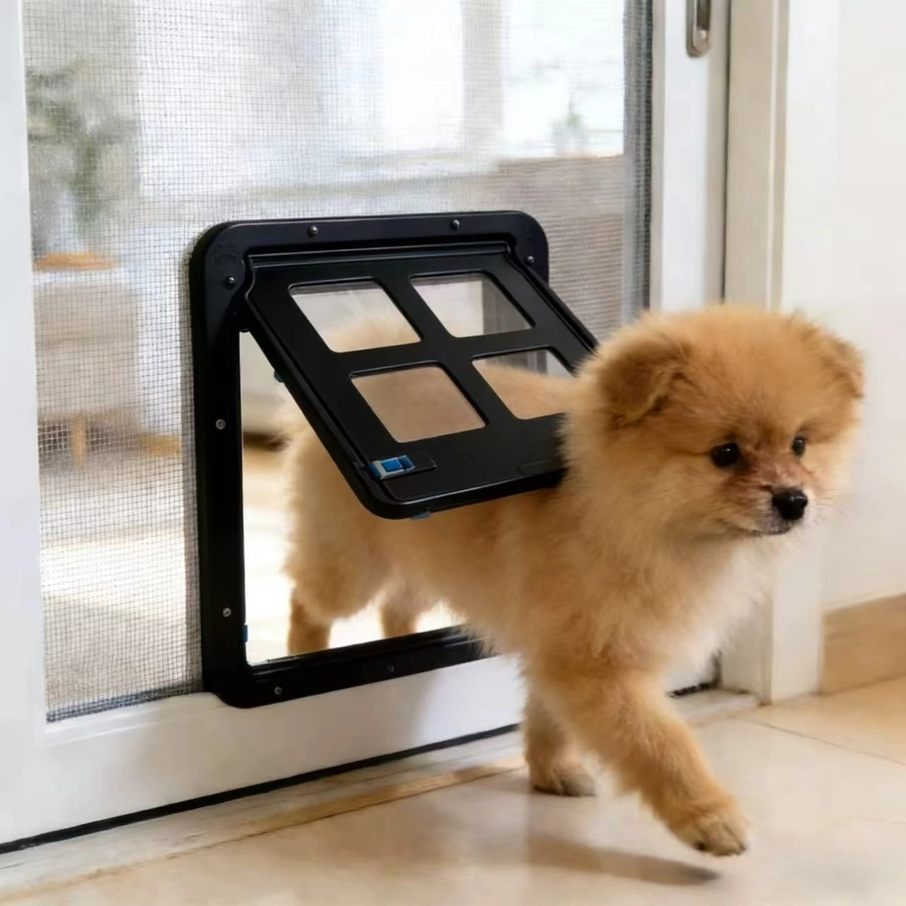 Thumbnail 4 - #41 Best Cat Doors to Buy In 2026