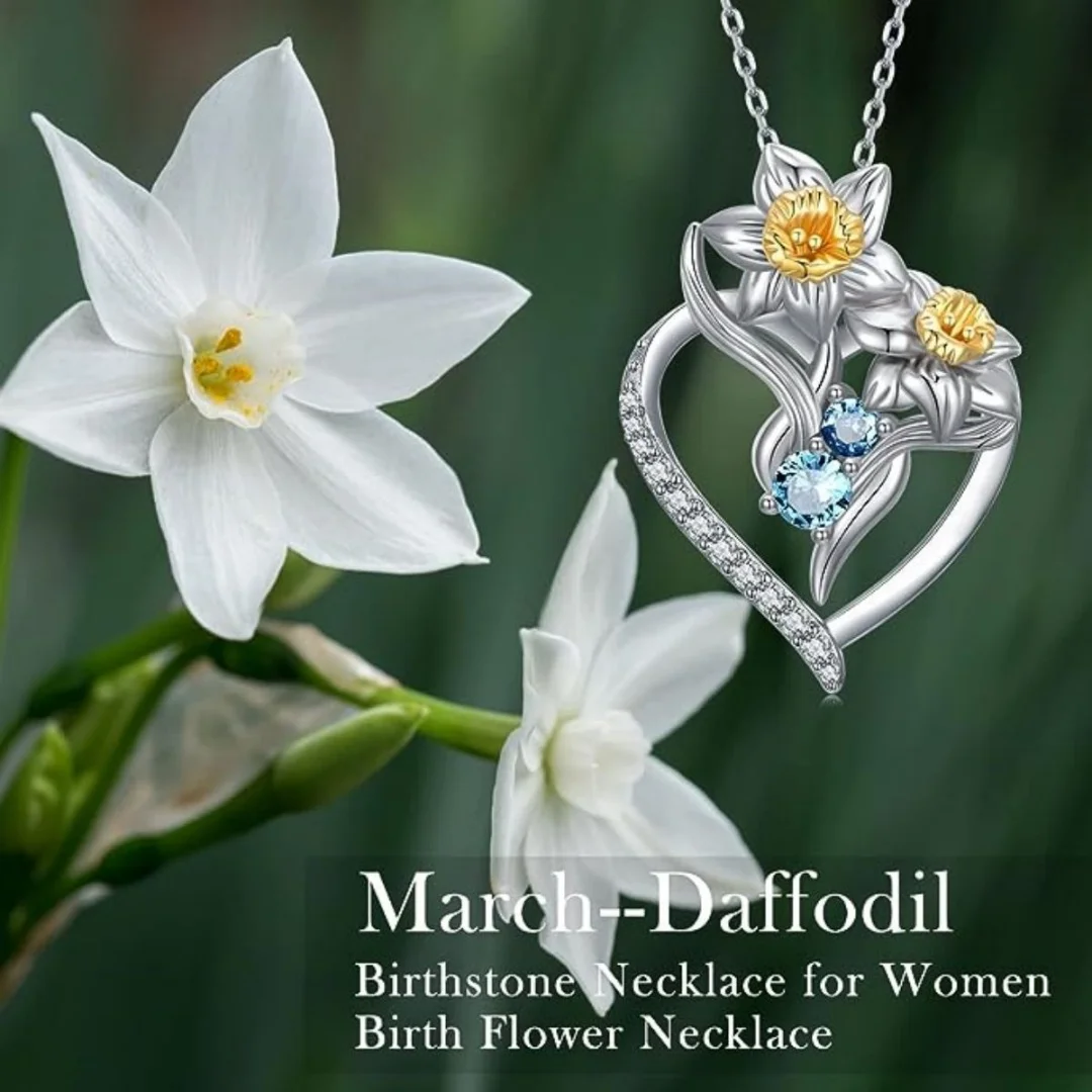 قلادة على الطراز الأوروبي والأمريكي الأكثر مبيعًا عبر الحدود أنيقة على شكل قلب ومجموعة صغيرة من قلادة الزركونيا