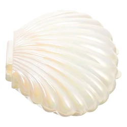 Shell Jewelry Box Decor Shaped Case Bracelets Storage Boxes Animal Ring Holder Sea Plastic Organizer Miss Vintage