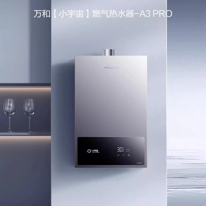 Natural Gas 4A Grade Gas Water Heater Inverter Constant Temperature