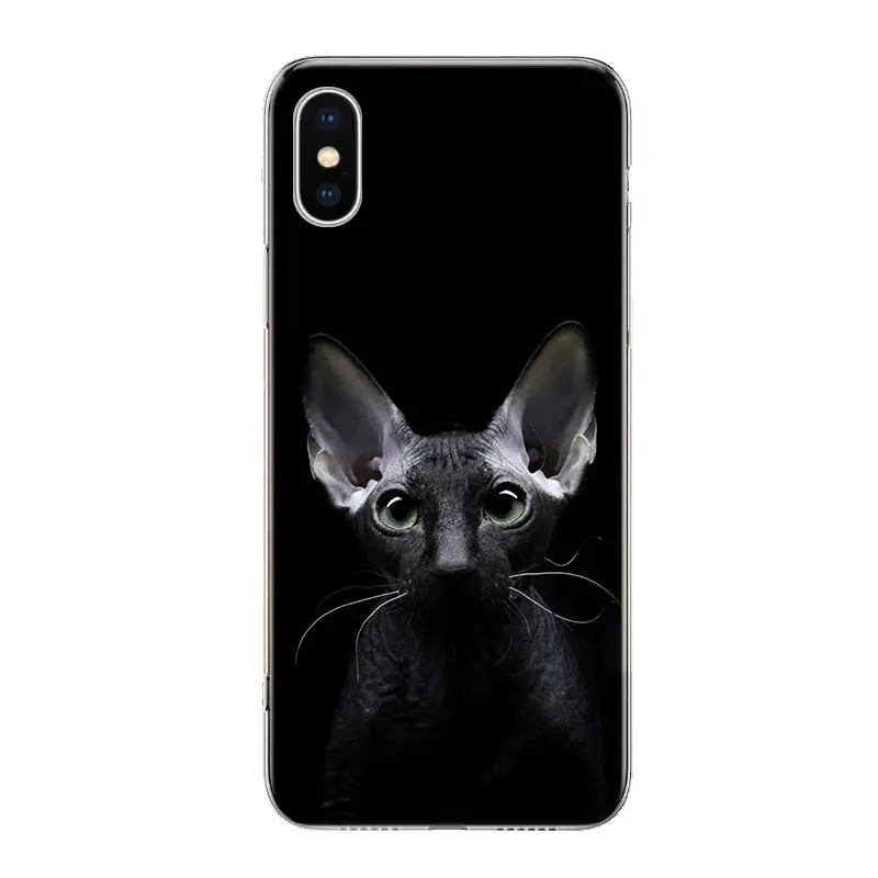 Lavaza Sphynx Sphinx Cat Case for iPhone 12 13 Mini 14 Plus 15 16 Pro Max 11 X XS Max Clear TPU Protective Phone Cover