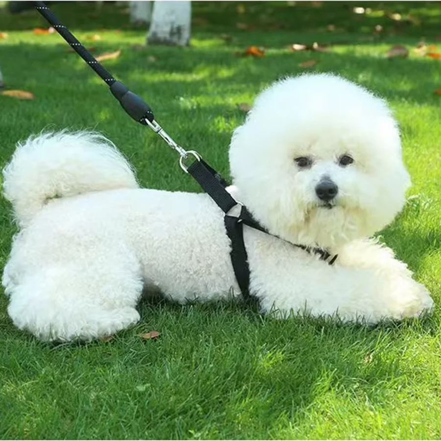 Thumbnail 3 - #20 Ranked Adjustable Pet Collars Picks in 2026