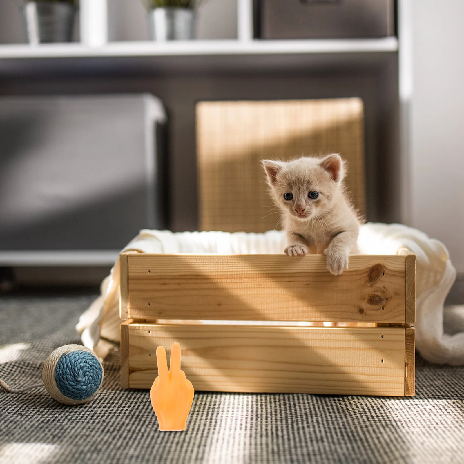 

10Pcs Interactive Cat Hand Puppets Mini Finger Gloves Creative Cat Teaser Indoor Play Prank Props Stress Relief Portable Pet