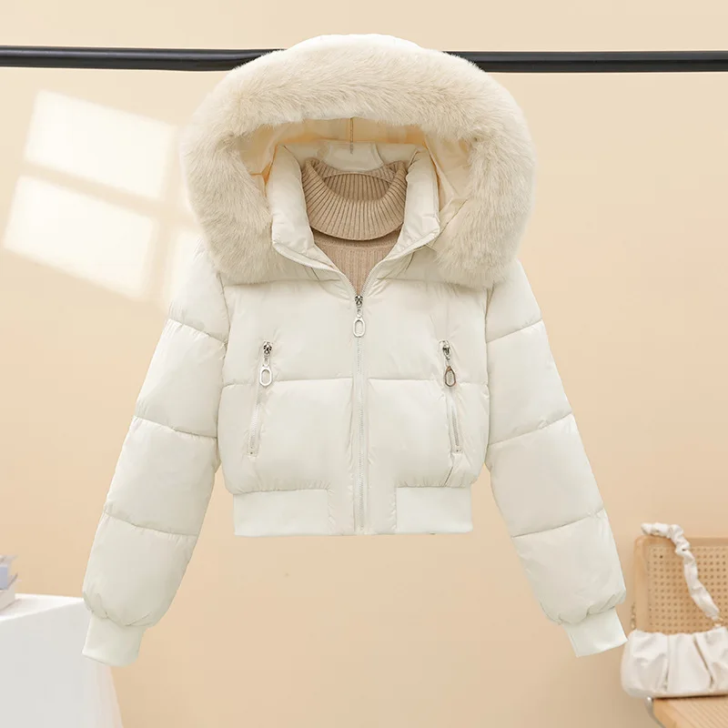2025 nouvelle automne et hiver garder au chaud veste avec chapeau de fourrure manteau en coton épais manteau en coton Parker manteau court tendance Style britannique