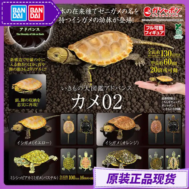 

New Bandai Biological Encyclopedia Gashapon Toys Turtle Series 2 Red-eared Turtle Simulated Animals Model Decoration Gifts