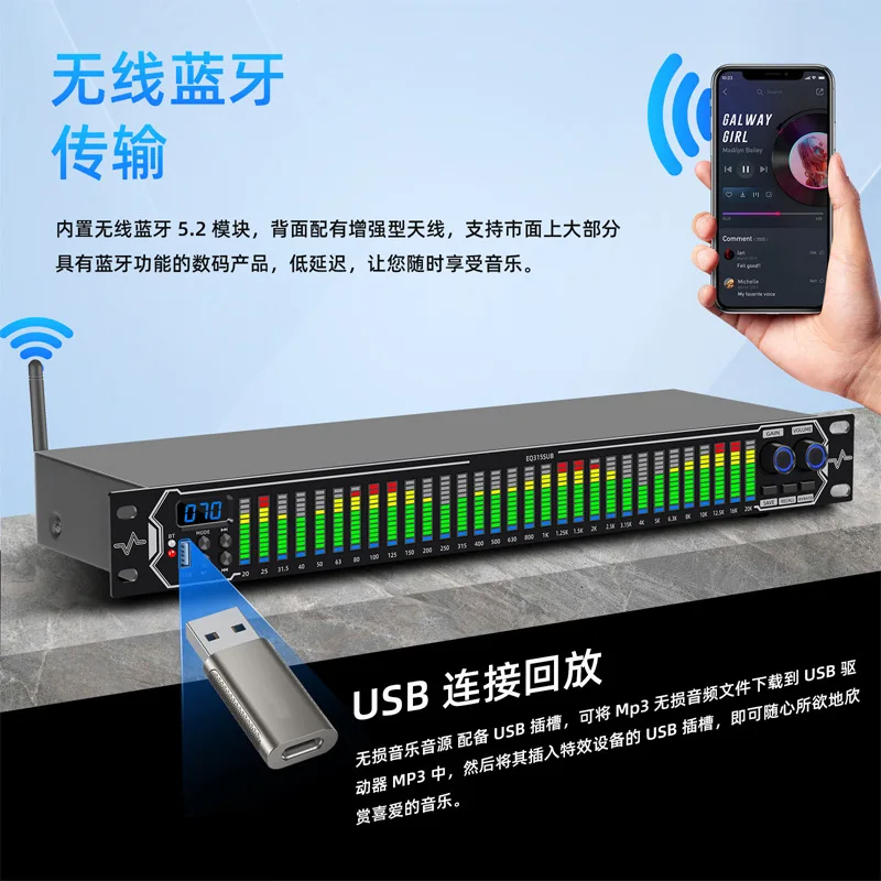 Audio Tuning Unit, Professional 31-Band Digital EQ Equalizer, Noise Reduction for KTV Stage Bar Sound System