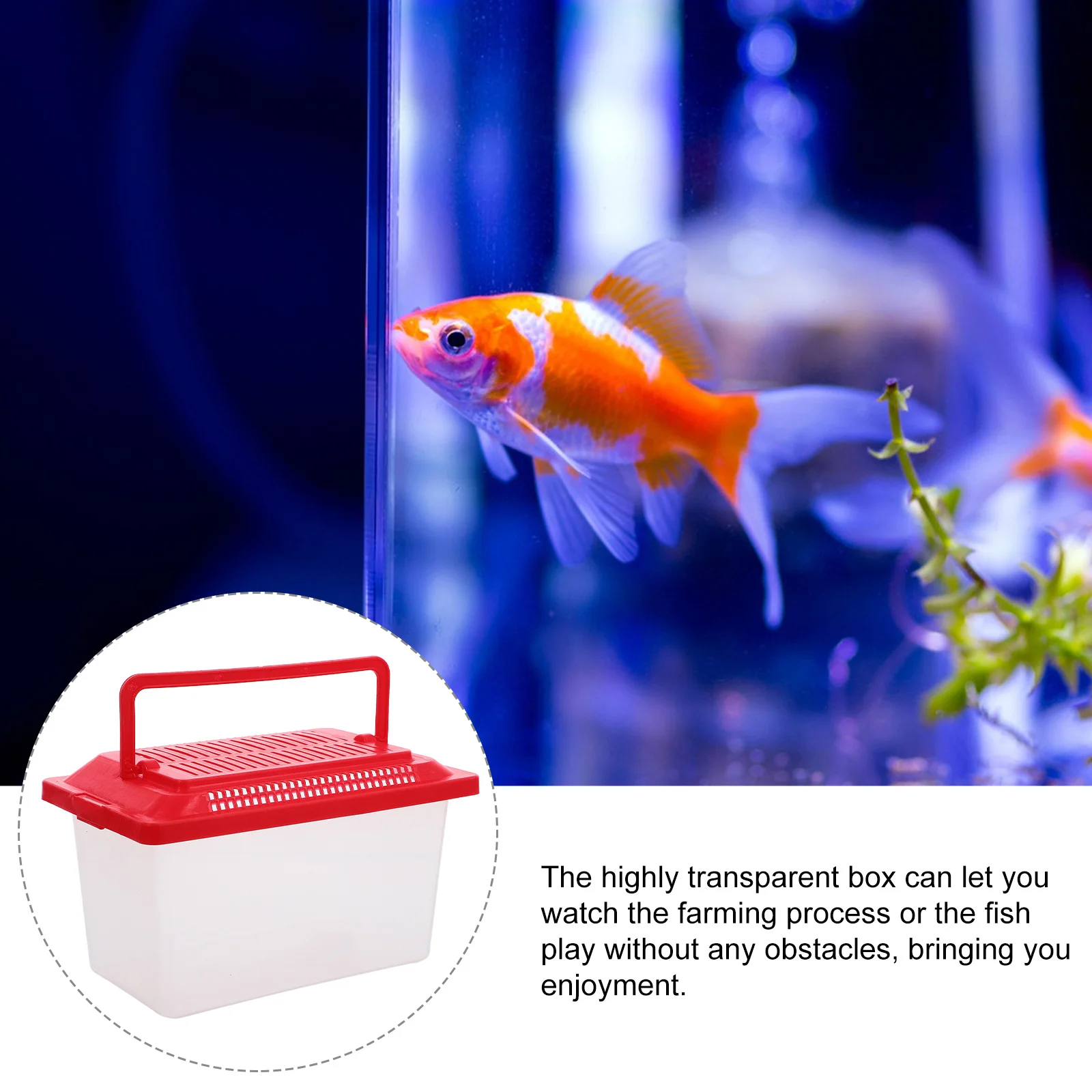 

Handheld Aquarium Portable Turtle Tank Smooth Surface Secure Design for Pet Transport Reptile Feeding Box Plastic Fish Tank