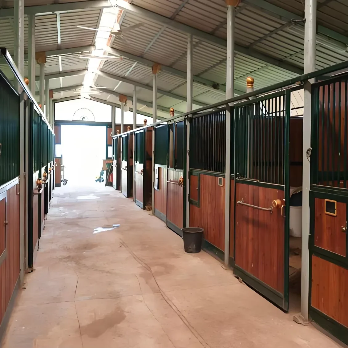 Used in private stables used in horse shows real and safe healthy non-toxic non-polluting cheap high quality horses shed