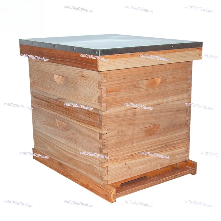 Beehive Standard Box 10 Frame Double Hive  Bee Box Beekeeping Tools