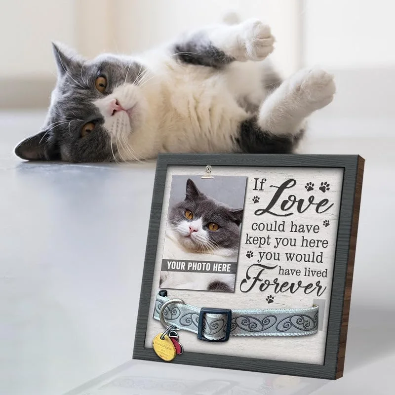 1pc Pet Photo Frame Cat and Dog Collar Dimensional Photo Frame Desktop Wooden Photo Frame Ornament Pet Memorial Gift Pet Supplie