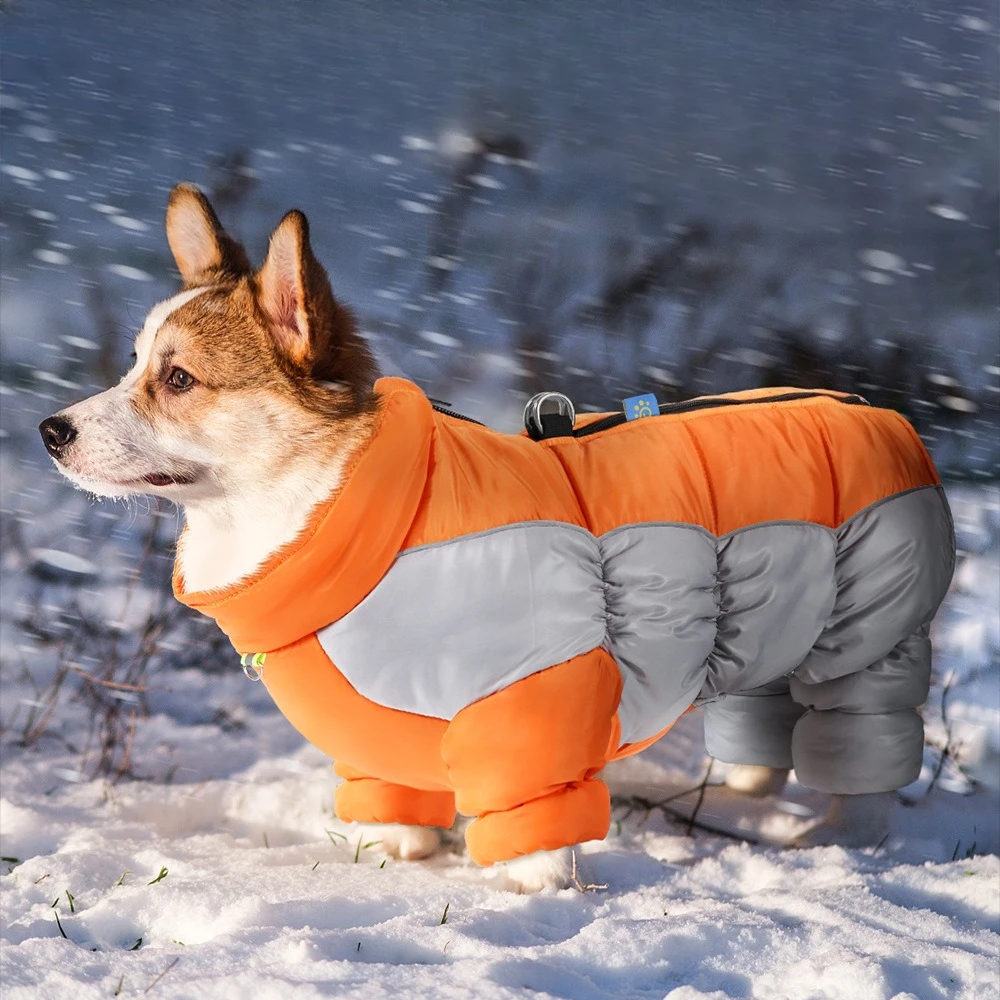 新しい防水犬服、反射素材入り厚手保温四足ジャケット、小型犬用パッカブルペットウェア