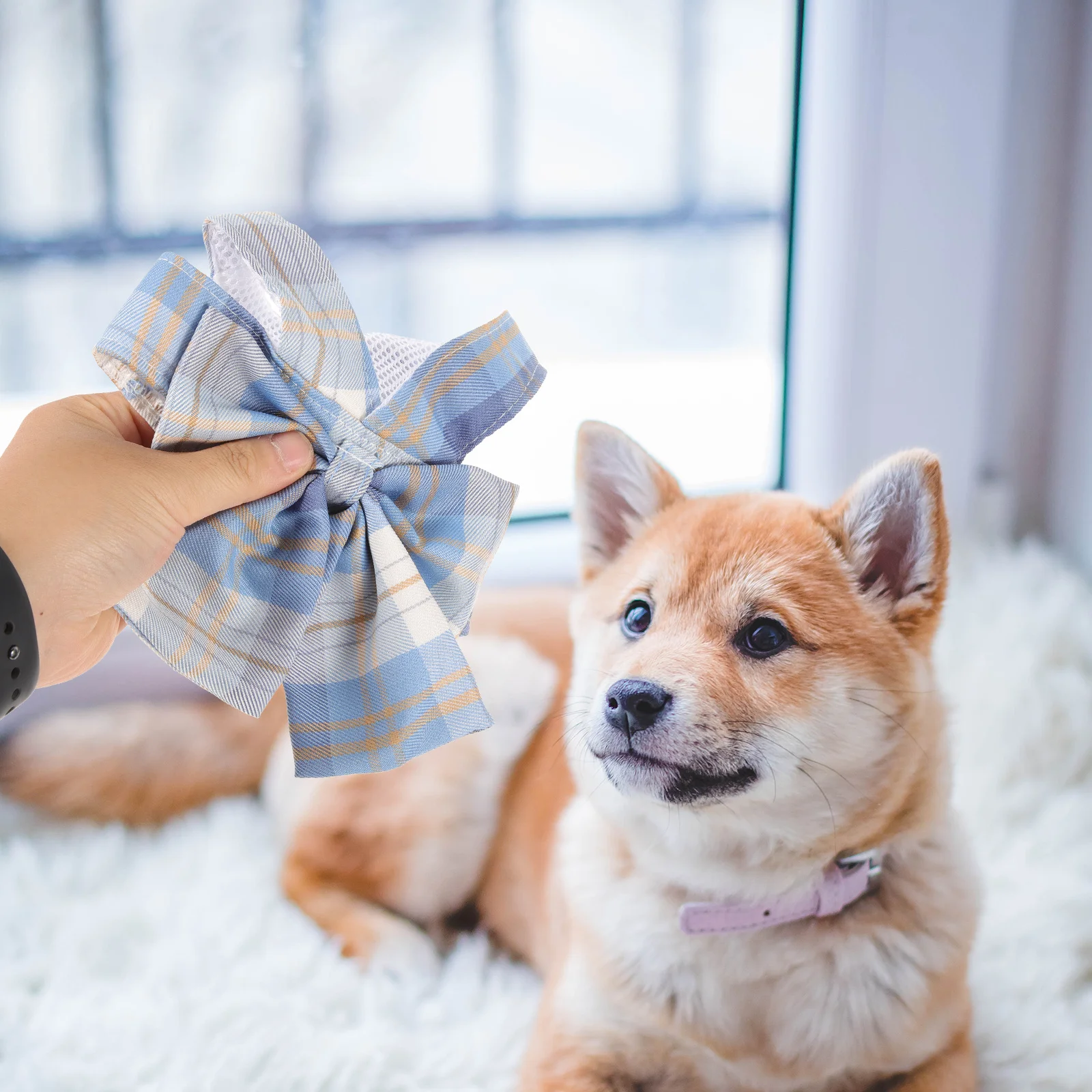 

1Set Pet Harness Bow Design Small Dog Harness Set Comfortable Breathable Adjustable Lightweight Dog Leash Vest for Walking