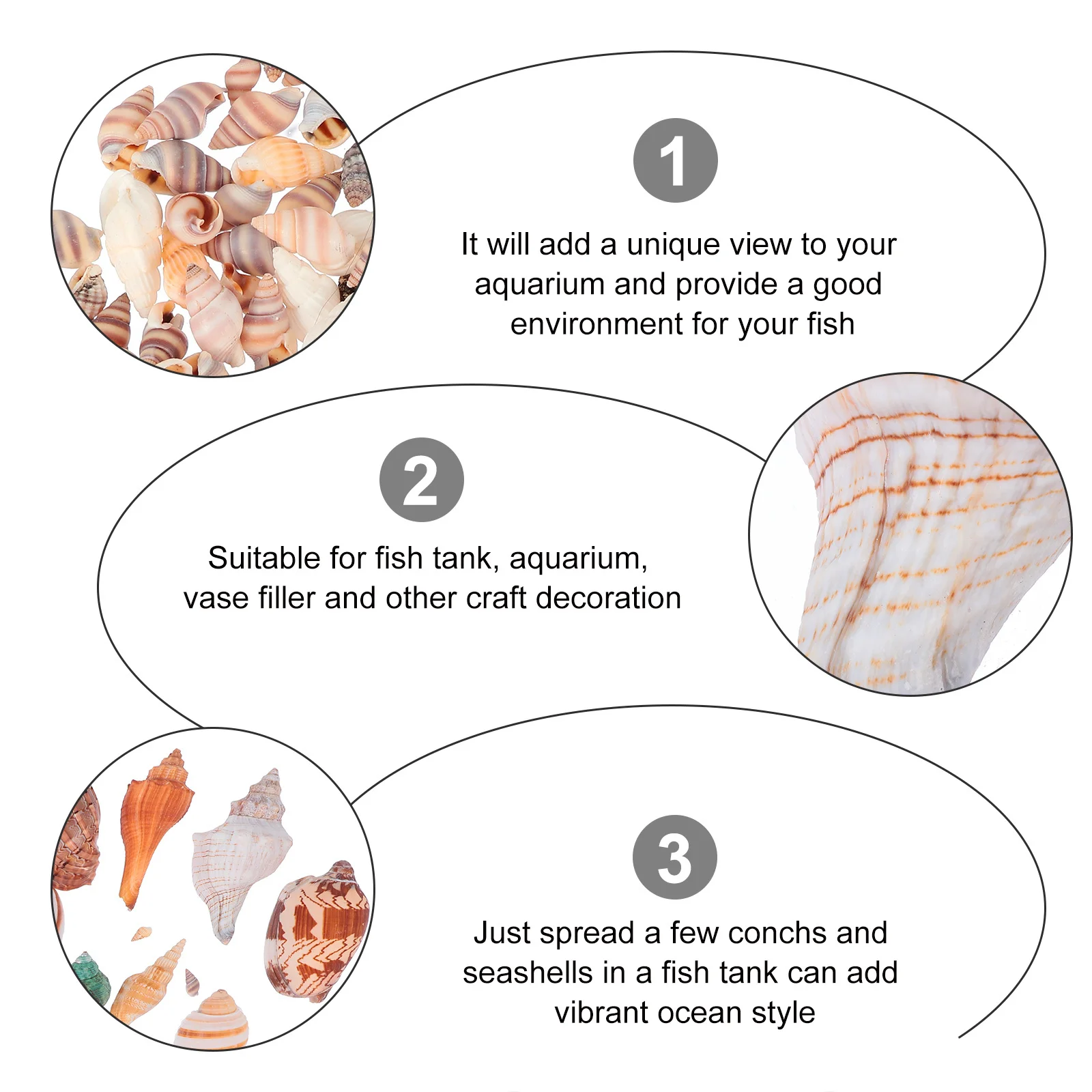 

1Set Natural Seashells Beach Shells Aquarium Decor Fish Tank Conch Shells Nautical Craft Decoration Sea Snails