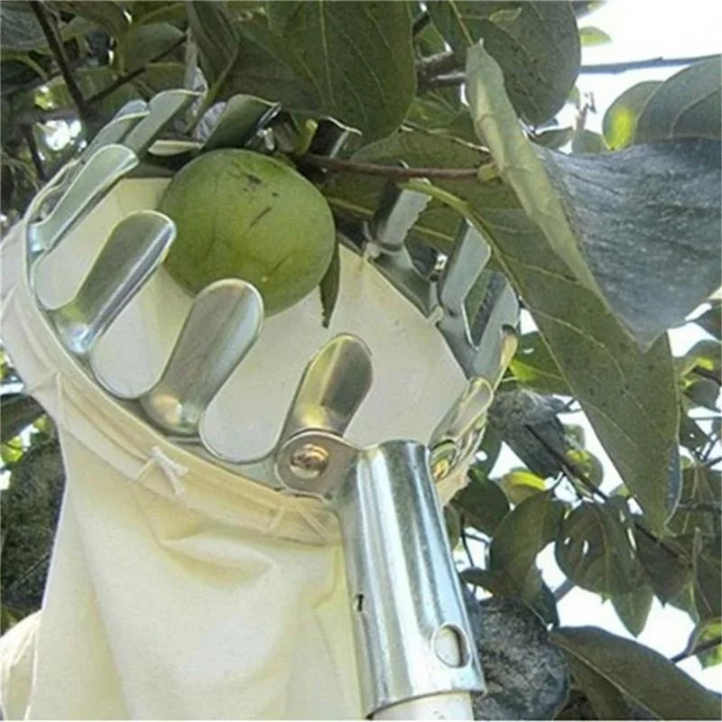 Farm Fruit Picker Garden Orchard Peach Apple Tall Tree Picker Metal Picker Collection Bag Autumn Harvest Convenience Tool view 3