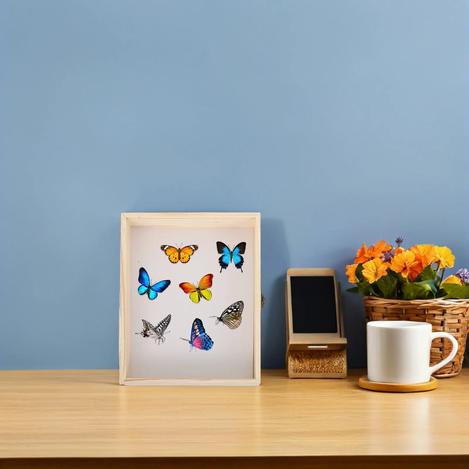 Solid Wood Insect Specimen Display Box 26x20cm Transparent Frame for School Science Projects Butterfly Collection Case Insect