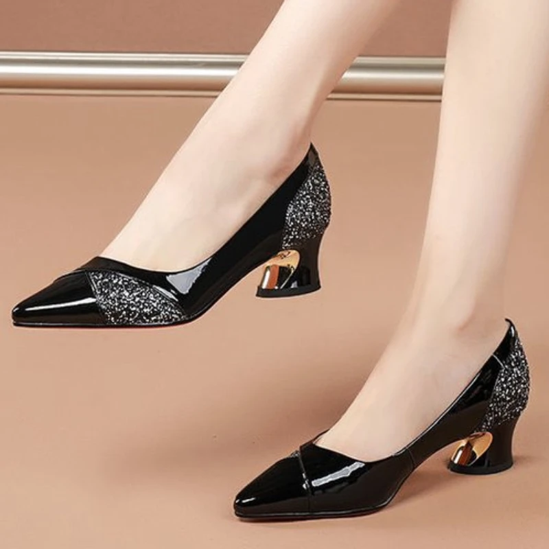 Shoes for Women Heels 2024 Spring New Pointed Shallow Mouth Shoes WomenThick-heeled Pumps Lady Fashion Shoes Zapatos Para Mujer