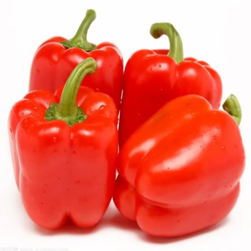 Artificial Simulation Food Vegetables Fake Chili Bell Pepper Photography Props Decoration Room Home Christmas Wall Decor 3pc/lot