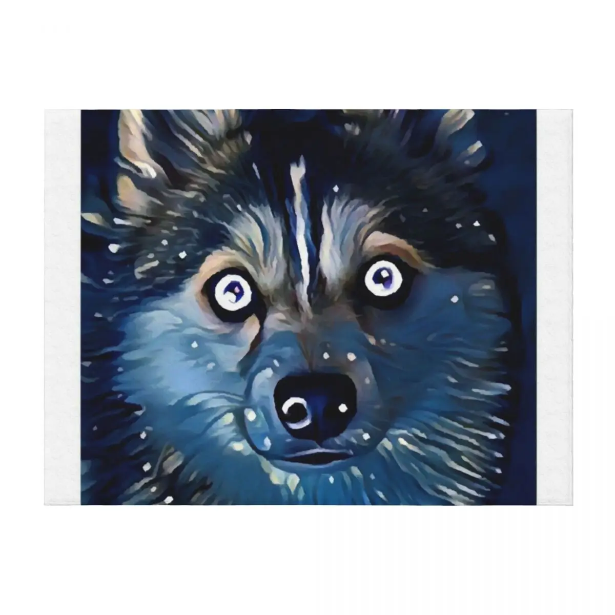 

Pomsky Throw Blanket warm for winter Plush Sofa Throw Blankets