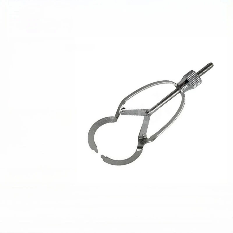 

Dental Forming Sheet Clamp Stainless Steel Filling, Medical Oral and Dental Consumables Clamp Type
