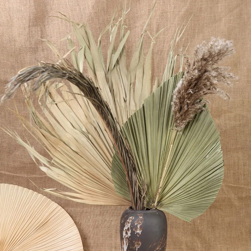 

4pcs Palm Leaf Dried Dried nament nament Natural Fresh Look Wedding Layout Party Prop Hawaii Theme Activities