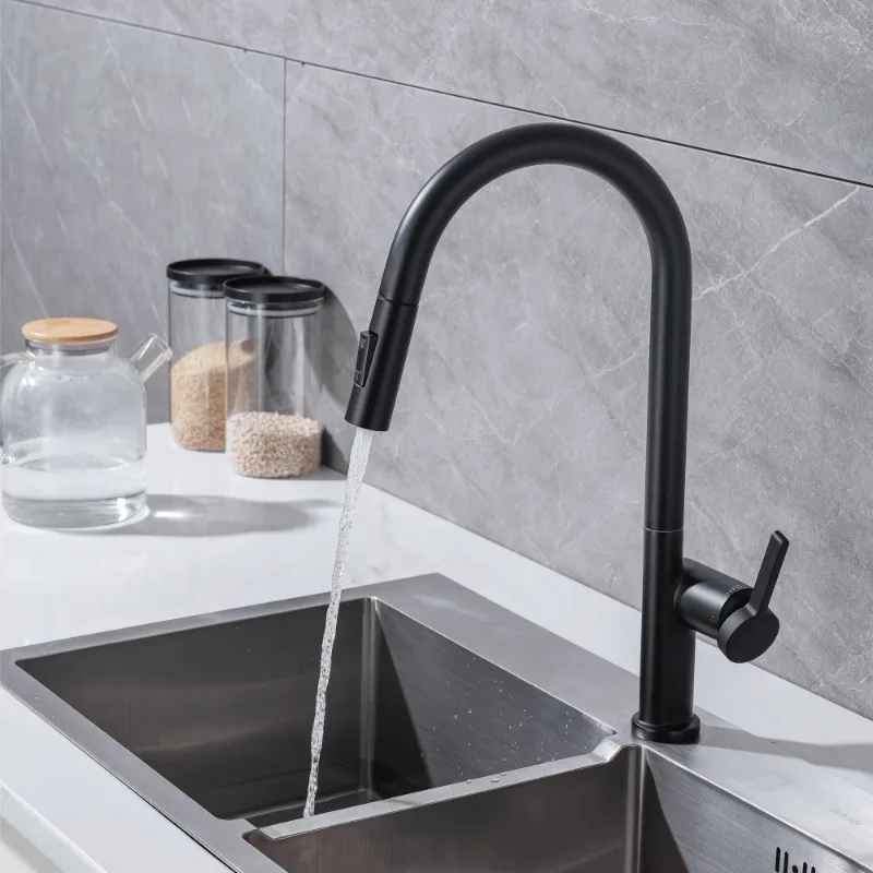 

ZC1-Pull Out Water Faucet Brass Kitchen Faucets Mixer Matte Black Single Lever Pull Down Kitchen Faucet for Kitchen Sink