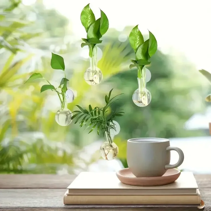 創造的な半円形の壁掛け花瓶フラワープレート植物水耕栽培水槽壁 - Aquarium Fish Green のレビューと価格