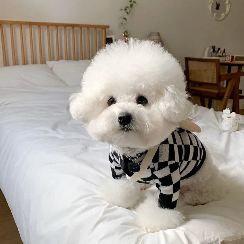 

Black Plaid Pet Sweater Teddy Warm Knitted Sweater Fashion Checkered Dog Clothes Winter Bibear Two Legs Clothes