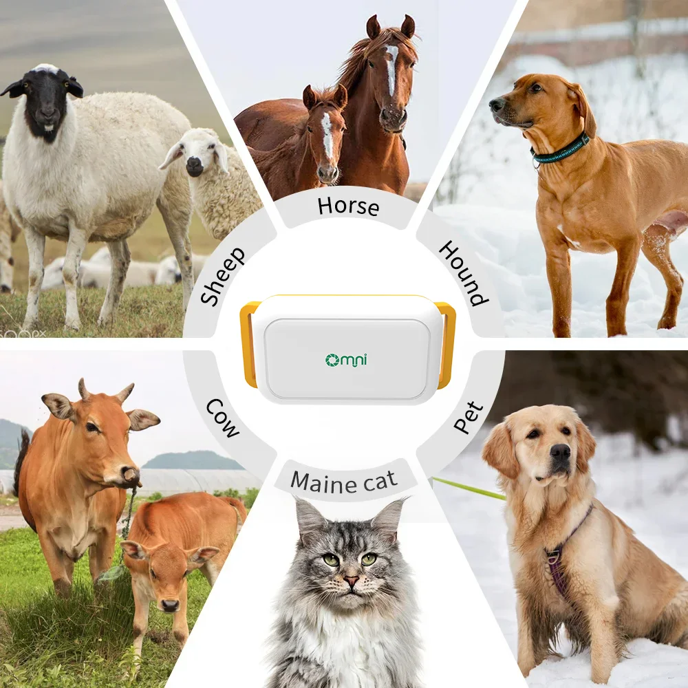 وصول جديد في الوقت الحقيقي جهاز تعقب محدد 4G كلب صغير لتحديد المواقع طوق المقتفي مع تطبيق Omni