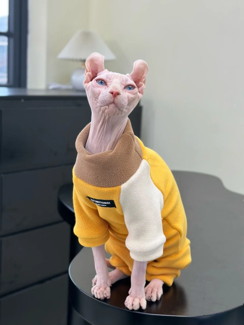 Fashion Fleece Coat for Sphynx Cat Autumn Soft Yellow Jumpsuit Coffee Sweatshirt for Kittens T-shirt Elestic For Devon Rex