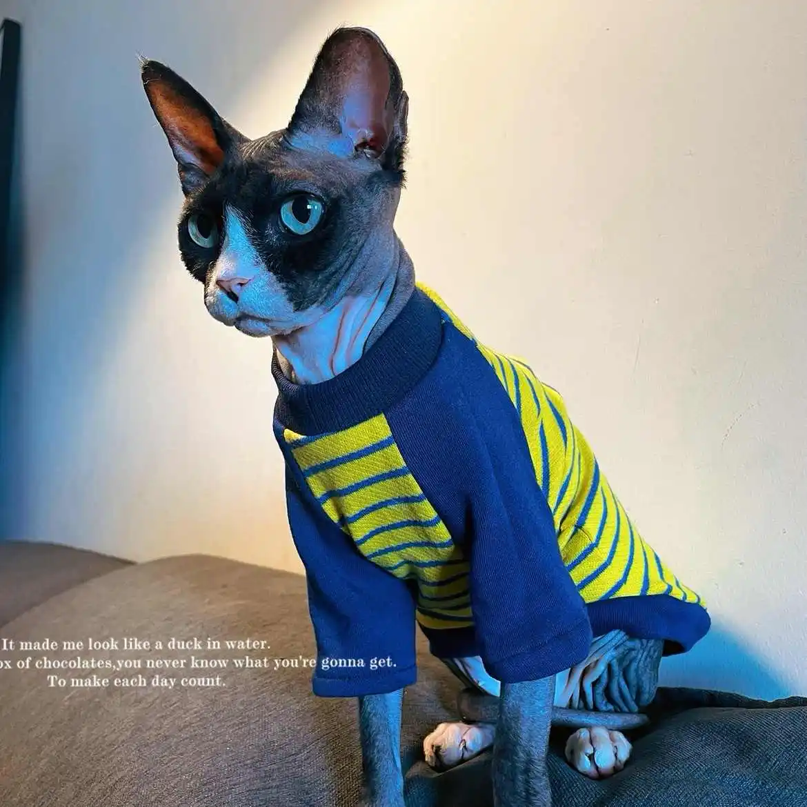 Hairless Cat Clothing Autumn Yellow Cotton Striped T-Shirt for Sphynx Cat Fashion Soft Khaki Coat for Abyssinian Cat in Spring