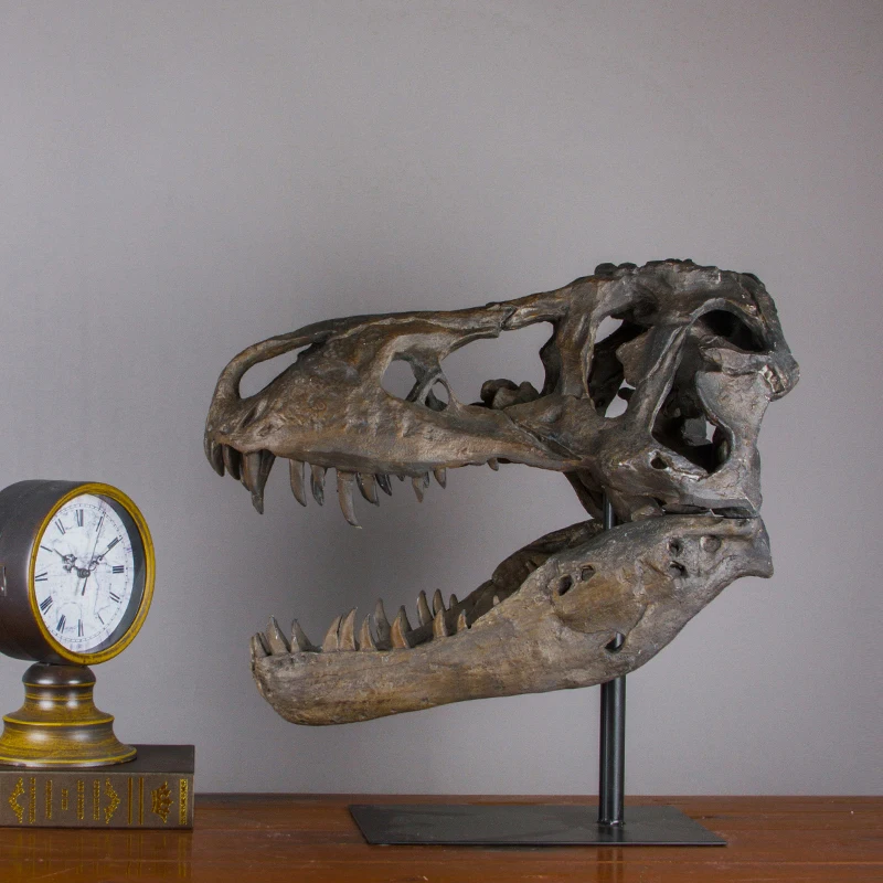 Dinosaur, rhinoceros, crocodile, saber-toothed tiger, animal skull, simulated fossil specimen ornament