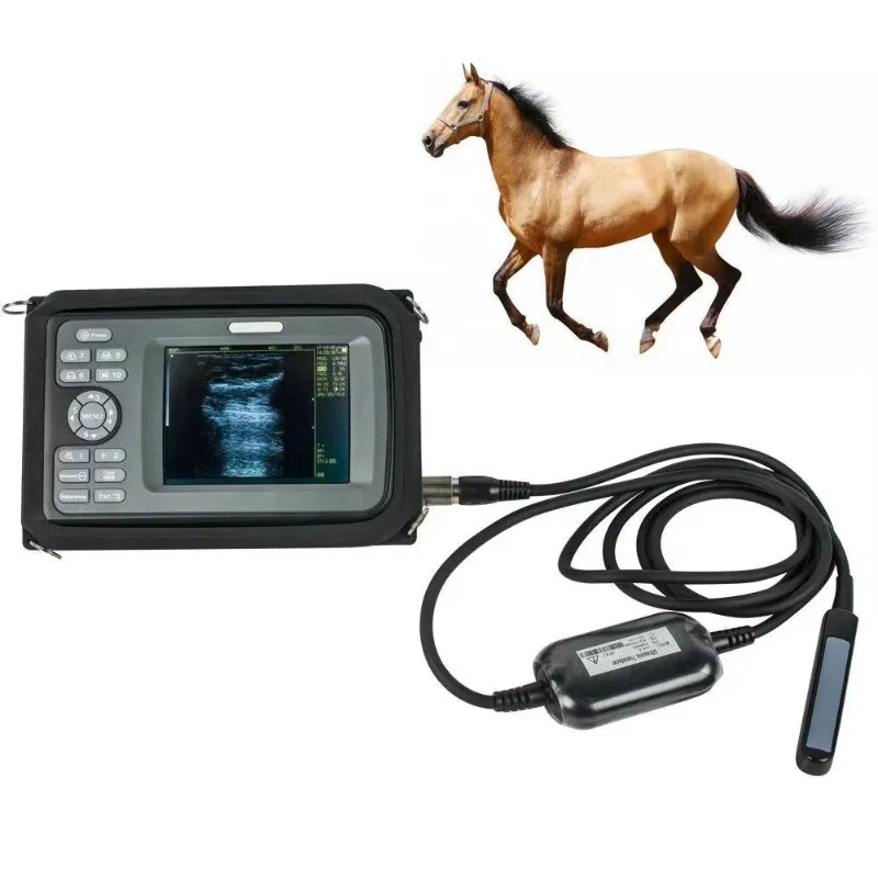Ecografo Ultrasonido Veterinarios Portatil Sheep Pig Cow Horse Dog test Portable Animal Handheld Veterinary Ultrasound Machine