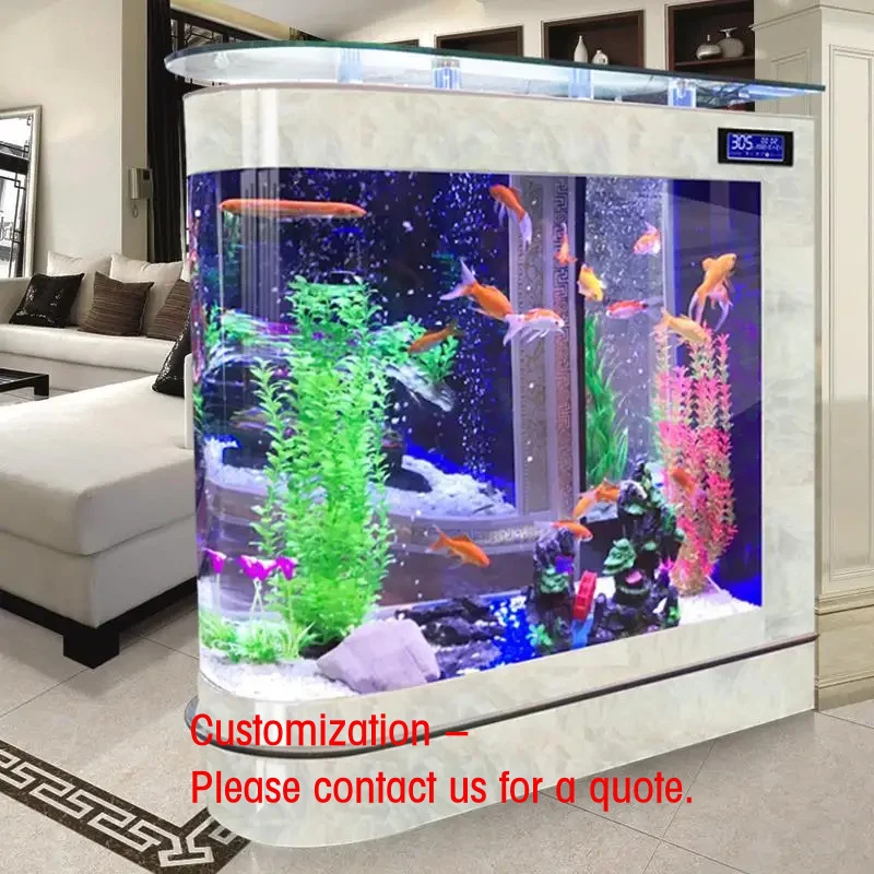custom.Desktop Oval Large Jellyfish Special Ecological Live Animal Jellyfish Fish