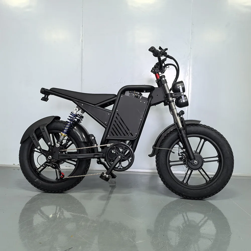 Stlf 20-Inch Electric Mountain Bike Brushless Rear Hub Motor Lithium Battery Sport Snow Black Knight Snowmobile Off-Road Vehicle
