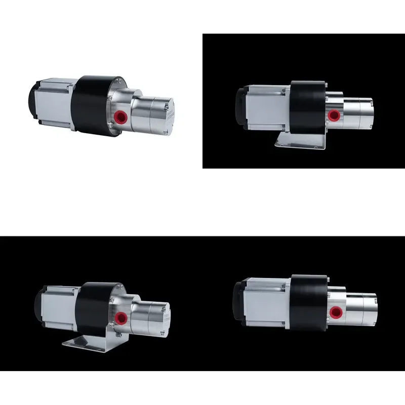 for Chenhui 316L Stainless Steel Leak Proof MPB150 Magnetic Drive Gear Pump 750W Servo Motor 220V Low Voltage 1 Year Warranty