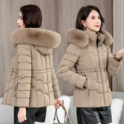 Winter 2024 neue Daunen jacke Frauen Parkas Mode hochwertige warme Baumwolle gepolsterten Mantel Damen kurzen Mantel Kapuze Overwear Tops