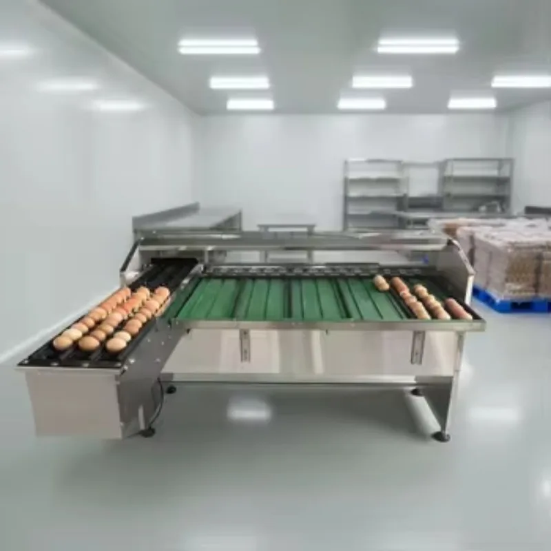 Automatic small  sorting machine, size and weight grading machine,  sorting machine, egg cleaning and sorting machine
