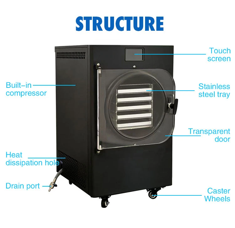 소형 미니 4Kg 6Kg 다섯 트레이 스테인리스 스틸 가정용 냉동 건조기 컴팩트 디자인 저전력 사용이 간편한 신선한 과일 허브용