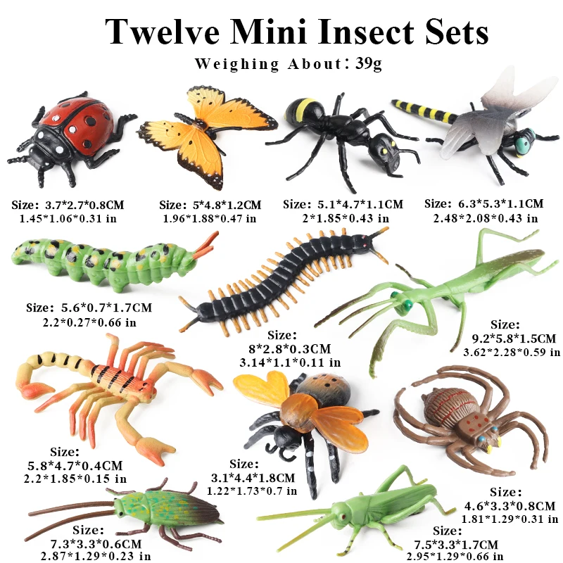 Oenux Insekt Tiere Modell Set Schmetterling Libelle Biene Käfer Spinne Skorpion Mantis Zikade Eidechse Garten Miniatur Kind Spielzeug Geschenk – Detail 8