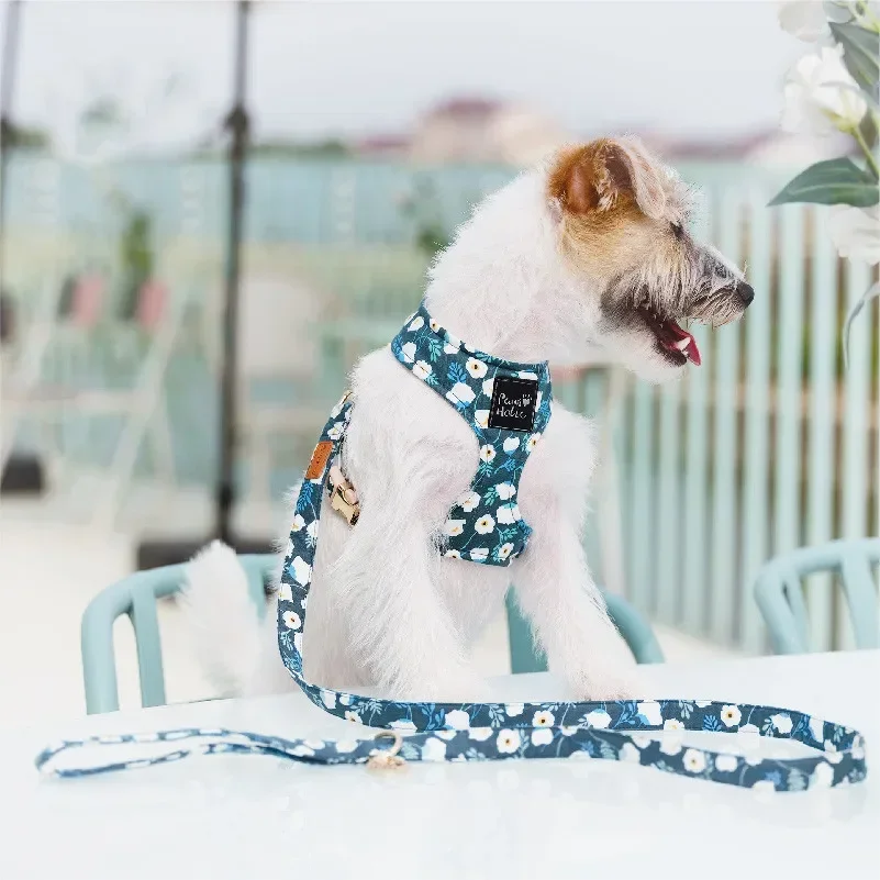 Pettorina per animali domestici in tessuto stampato di fascia alta Pettorina per cani di piccola e media taglia con guinzaglio Set barboncino Schnauzer Guinzaglio per cuccioli Accessori per cani