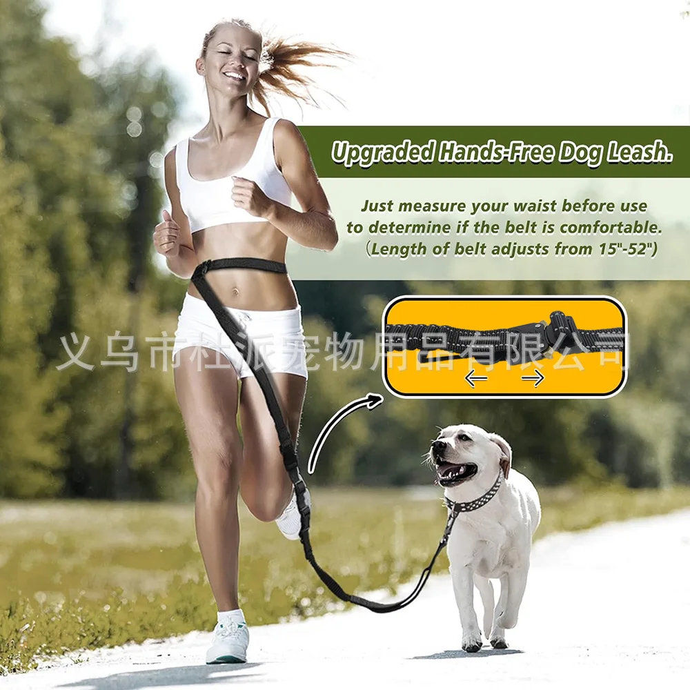 6-in-1 Multi-functional Dog Leash Set Gold Metal Accessories Suitable for Medium to Large Dogs No Hand-pulling Running Pet Elast