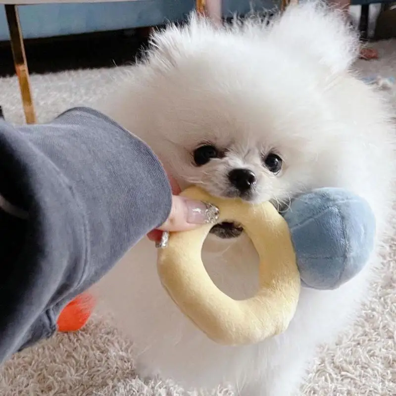 Pet Toy Ring Box Plush Toy Love Diamond Ring Case Stuffed Pet Chew Toy Sounds Puppies Kids Cute Soft Dog Bitter Interested Toys