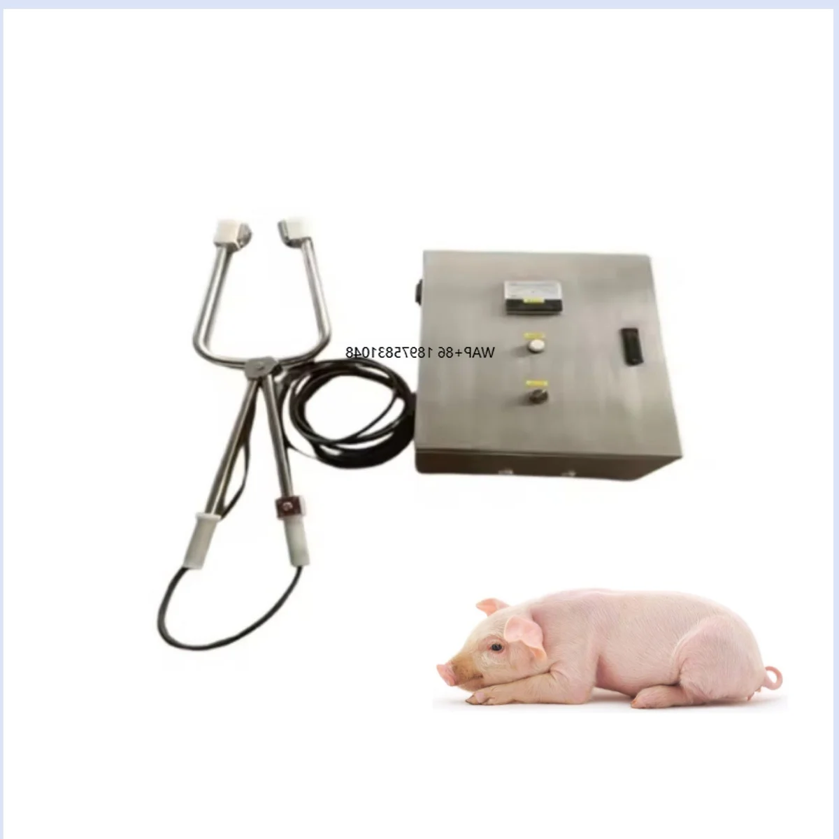 

Complete Pig Slaughter Line Electric Manual Stunning Device High Productivity Hog Stunner Equipment Sow Slaughterhouse