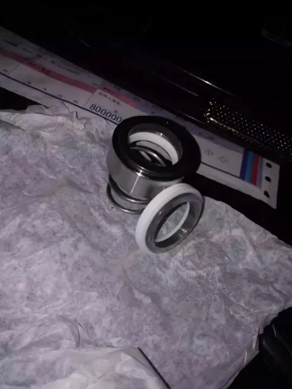 Guarnizione meccanica per accessori pompa a ingranaggi