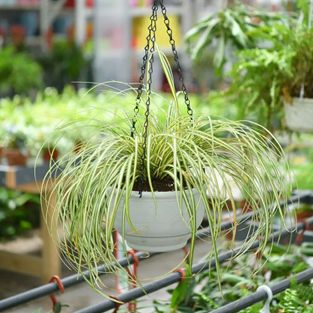

2 pcs Hanging Flower Pot Premium Plastic Garden Planter Balcony Chlorophytum Pot Decor Suspended for Living